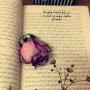 @محمدكريم-ع4ن3ق