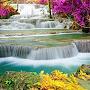 @Seema17_g
