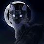 @Richie123-52