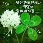 @강인숙-v3h
