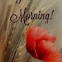 @ashfaksiddique5114