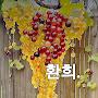 @PM-qh6nh아스카사라