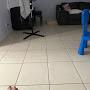 @FunnyKiddos2599