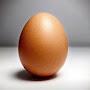 @EggboyEggboy