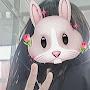 @댕댕놀이터