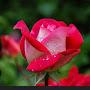 @SubhashPrajapati-b6n