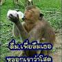 @เหงียนเกาด๊าก