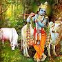 @rathodmundarachannelyoutub7670