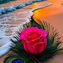 @ShivRajput0000