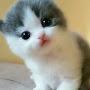 @Kerem27_90