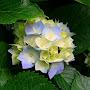 @พัทธ์อรขุนแก้ว