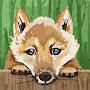 @letranminhkhoa7492