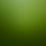 @АллаНазарец-д5ы