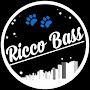 @riccobassmusic