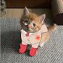 @GERMAN_CAT371