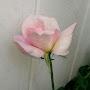 @McGyver777ATGMAIL