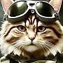 @KombatCat-l8e