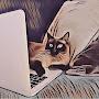 @slycatcoder7441