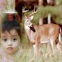 @muhammadrafique9606