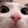 @skippydippy8296