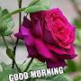@pramilaubale2855