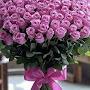 @Prophetessnatasharamazan