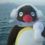 @ILikepenguinstheircute