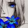 @farimaelias3588