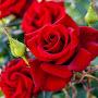 @jusnajalil5157