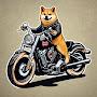@Dogetuberyt