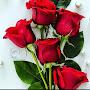 @reyhanyusubova1326