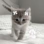 @heavy_rain_17.07