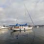 @sailingelectricgitana1286