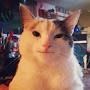 @Cat_man0lol