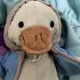 @purrrduck