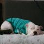 @canalesmendezluisalberto997
