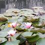 @Arul-vi1vv
