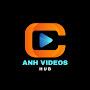 @anhvideoshub