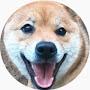 @shibastory
