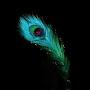 @Royalgaming.1