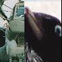 @grachowo-ruku4757
