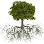 @plantedpsalms1801