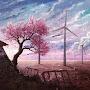 @zaidt2002
