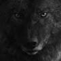@heartlesswolve1807