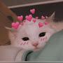 @cutie_ez1234