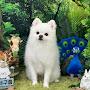 @junghee7656