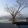 @young-hoonlee2120