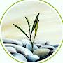 @davidebianchi5284