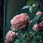 @saraabdalla8803