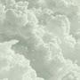 @awan098-h2d
